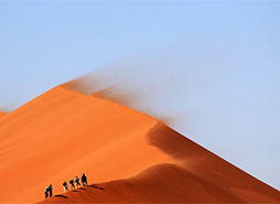 卡密网站靠谱的在线短信验证码接收