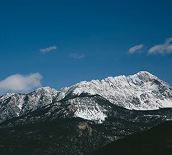 在线手机号轰炸网页版